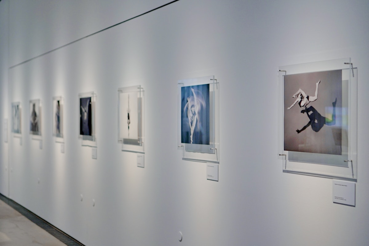 Framed artworks displayed on a gallery wall